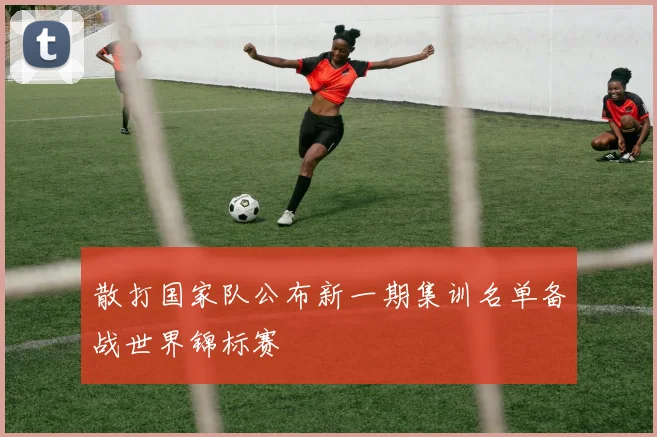 散打国家队公布新一期集训名单备战世界锦标赛