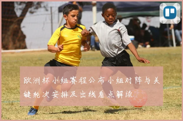 欧洲杯小组赛程公布小组对阵与关键轮次安排及出线看点解读